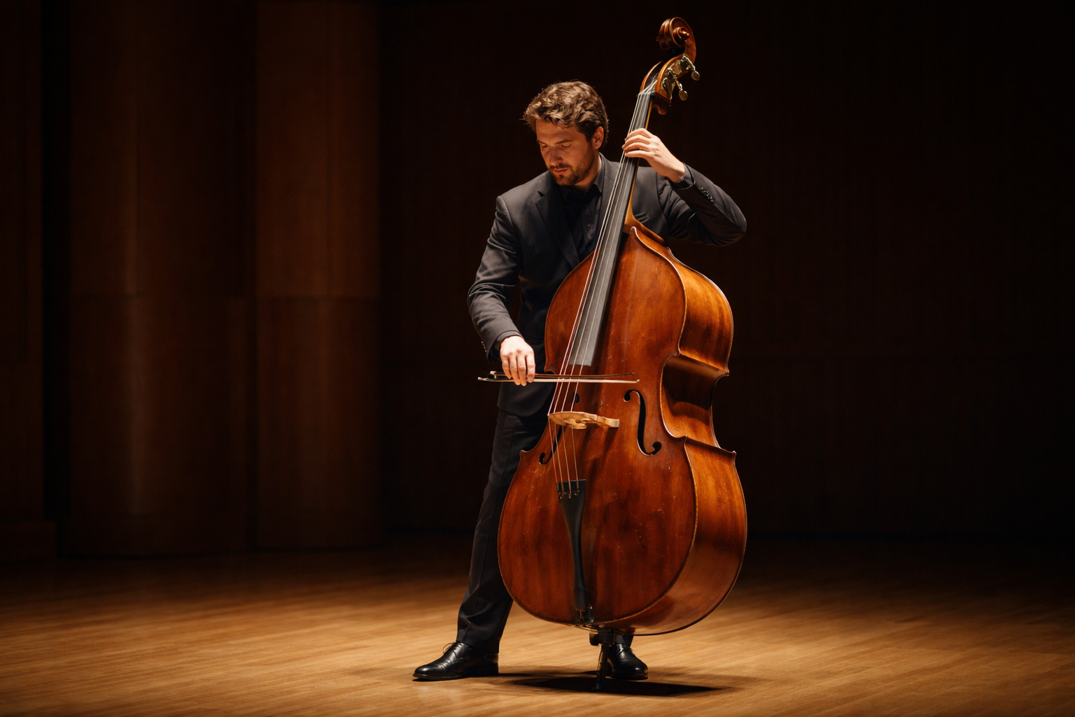 Double bass A double bassist playing on stage.