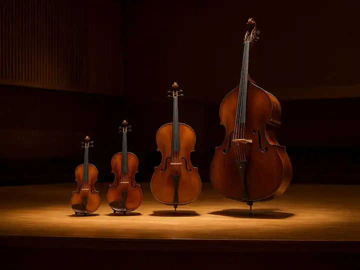 A Gentle Guide to the String Family