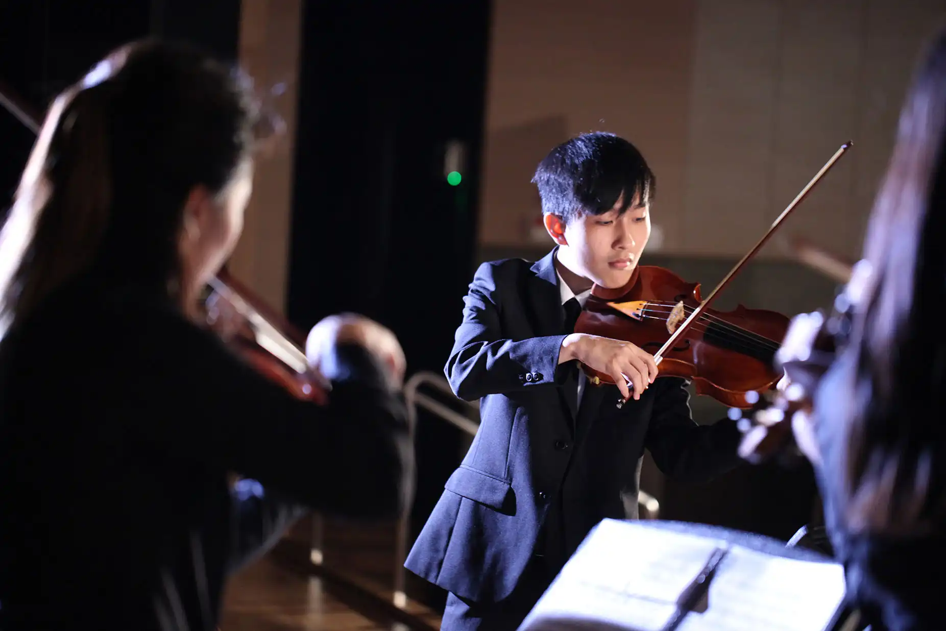 Portrait image for viola teaching and study